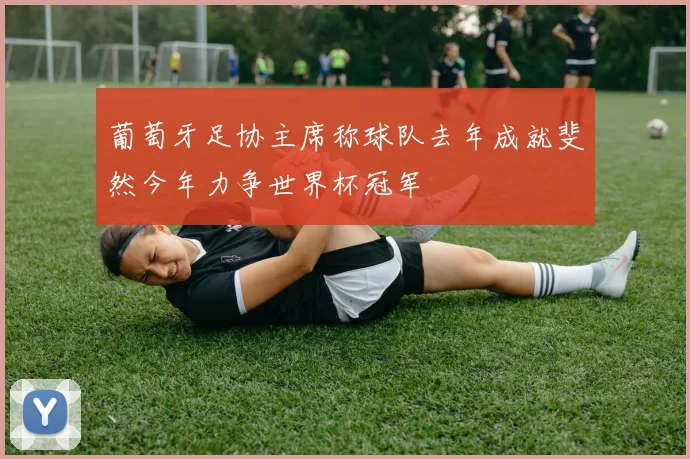 葡萄牙足协主席称球队去年成就斐然今年力争世界杯冠军