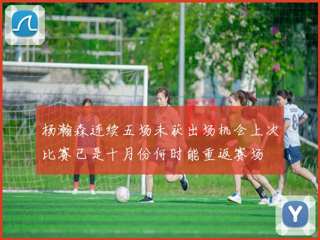 杨瀚森连续五场未获出场机会上次比赛已是十月份何时能重返赛场