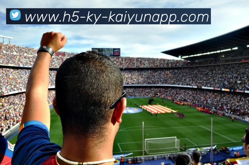 开云体育平台生态图